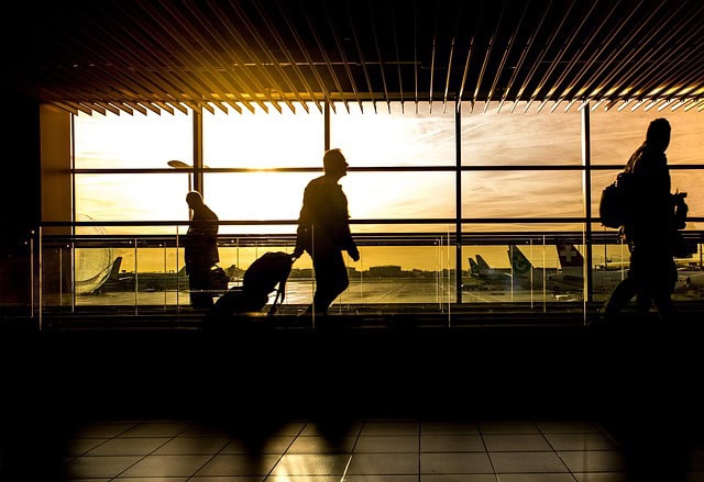 The Business Traveler’s Guide to Guilt-Free Pet Care
