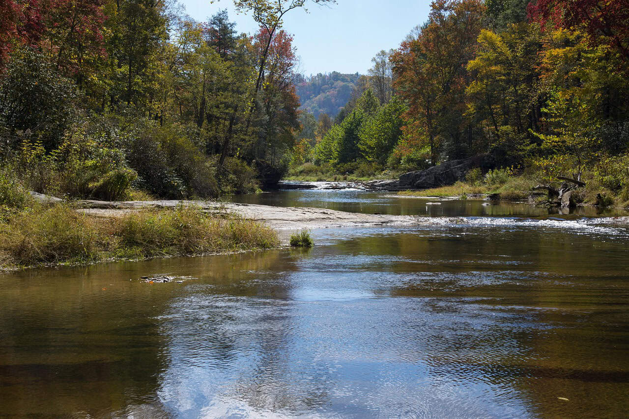 the best dog-friendly trails in Charlotte