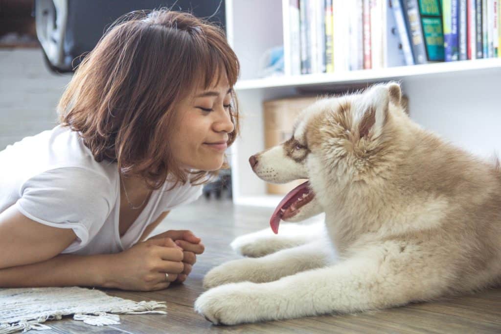 does my dog love me?