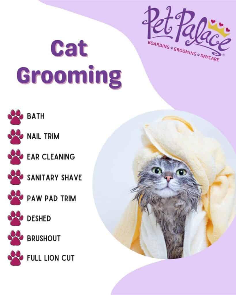 Pet Palace Cat Grooming Service