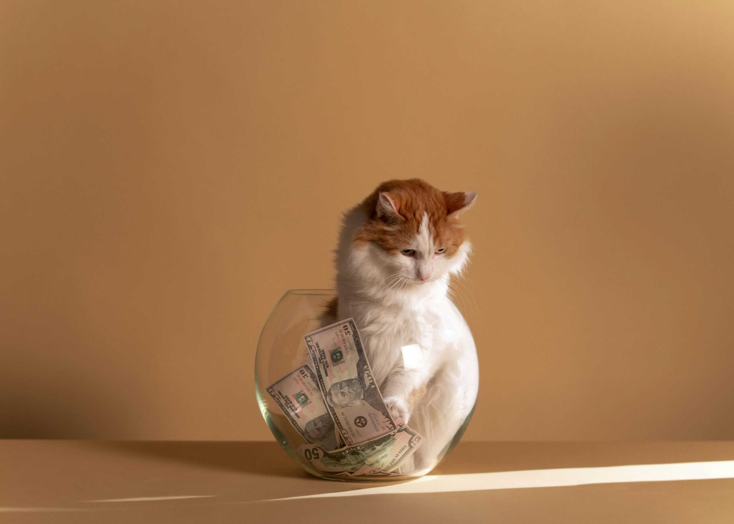 how to budget for pet ownership