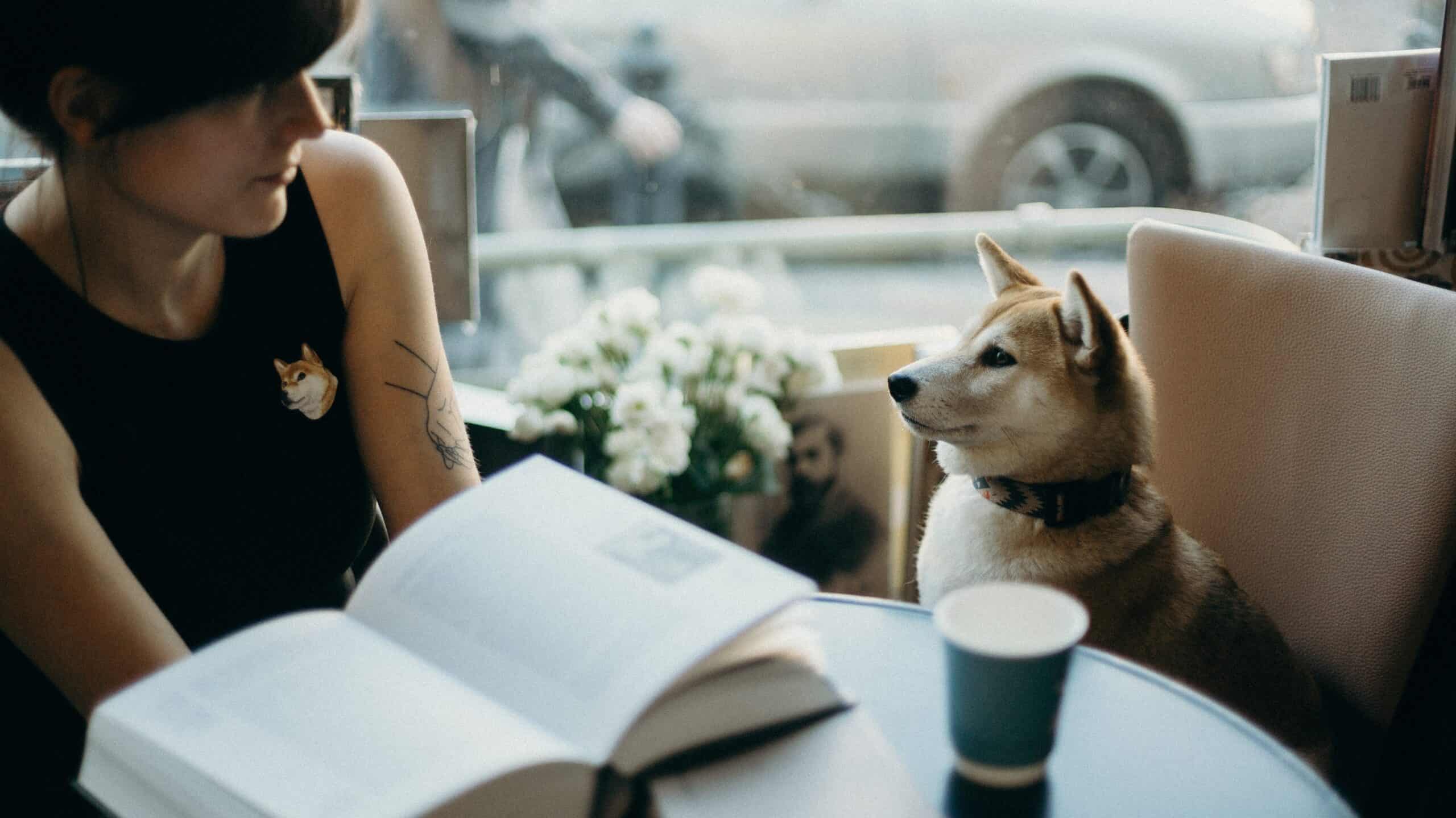 indoor pet-friendly businesses in Cleveland indoor pet-friendly businesses in Cleveland