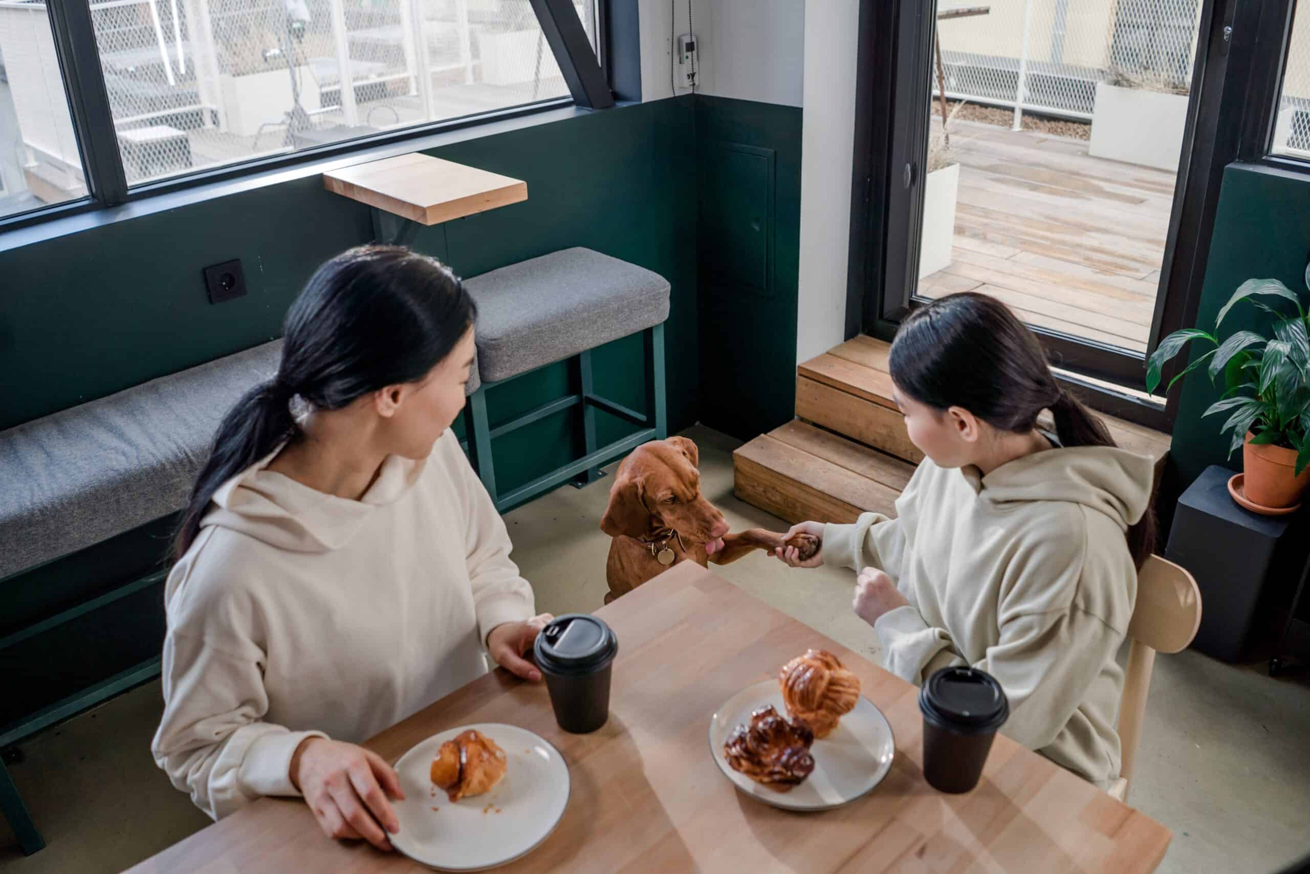 indoor pet-friendly businesses near West Chester, Ohio