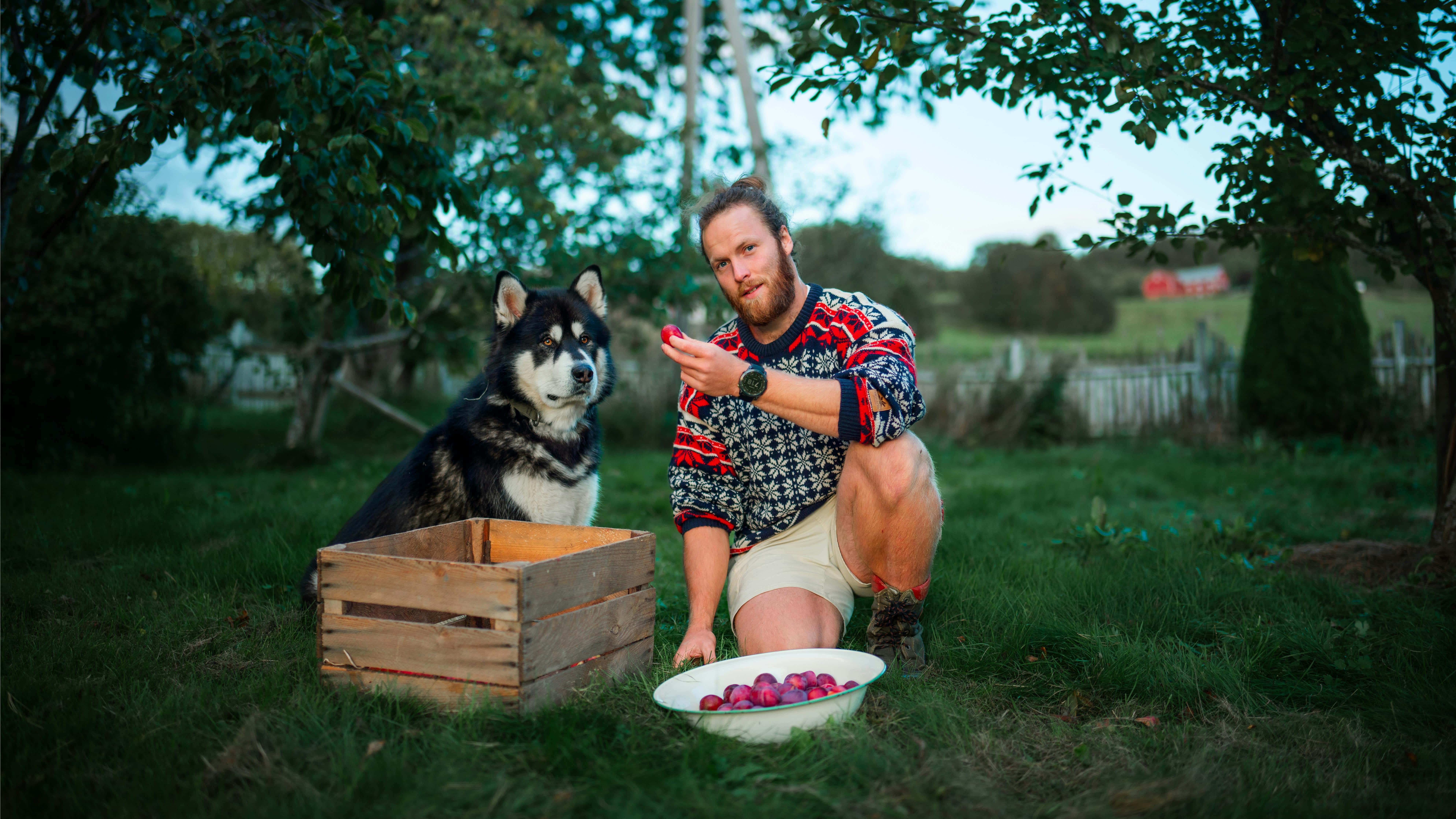 Dog-Friendly Apple-Picking Tips