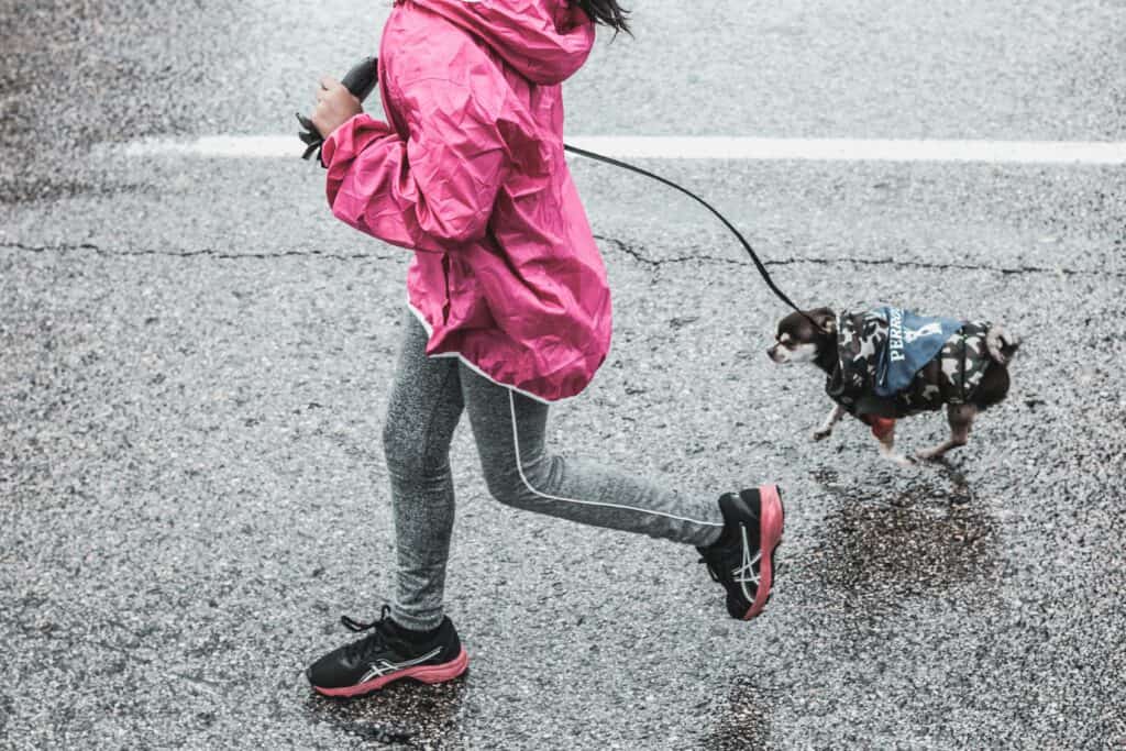 How to Run with Your Dog Successfully