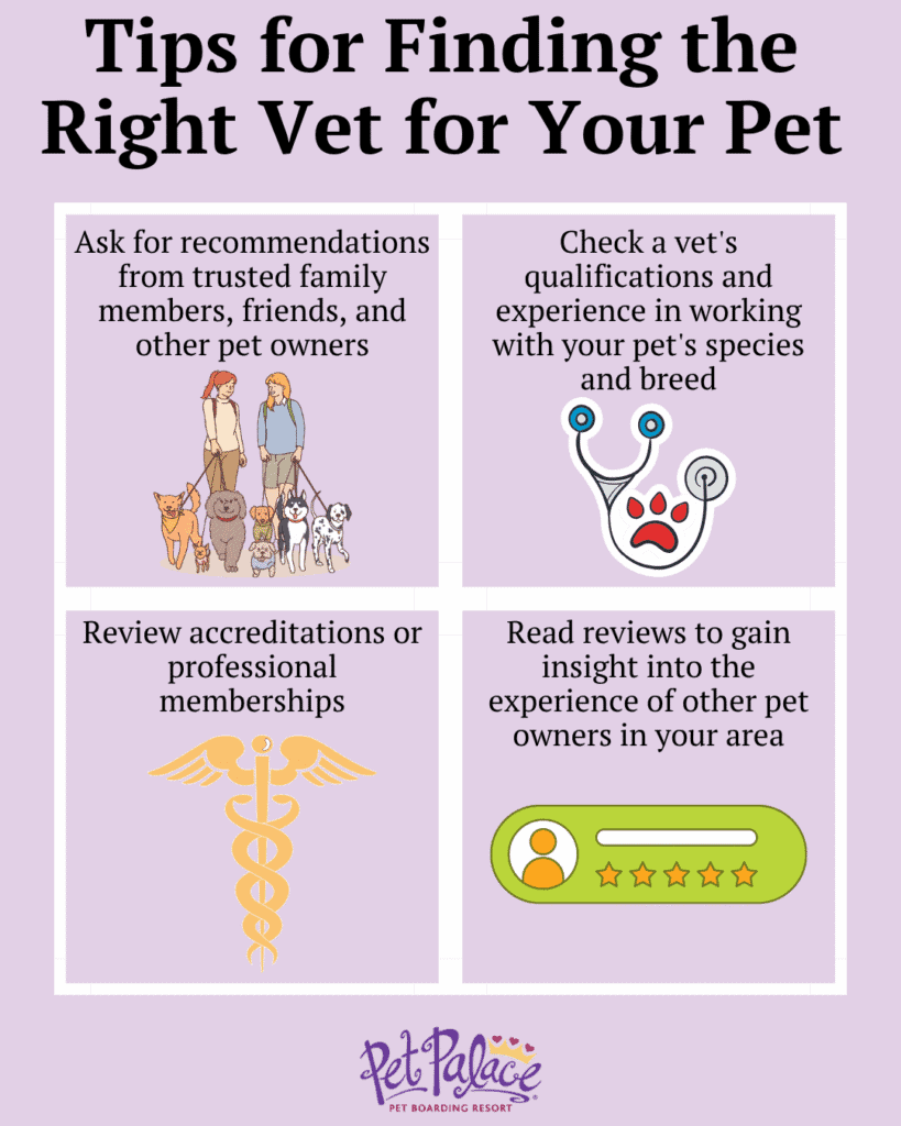 Tips to Finding the Right Vet