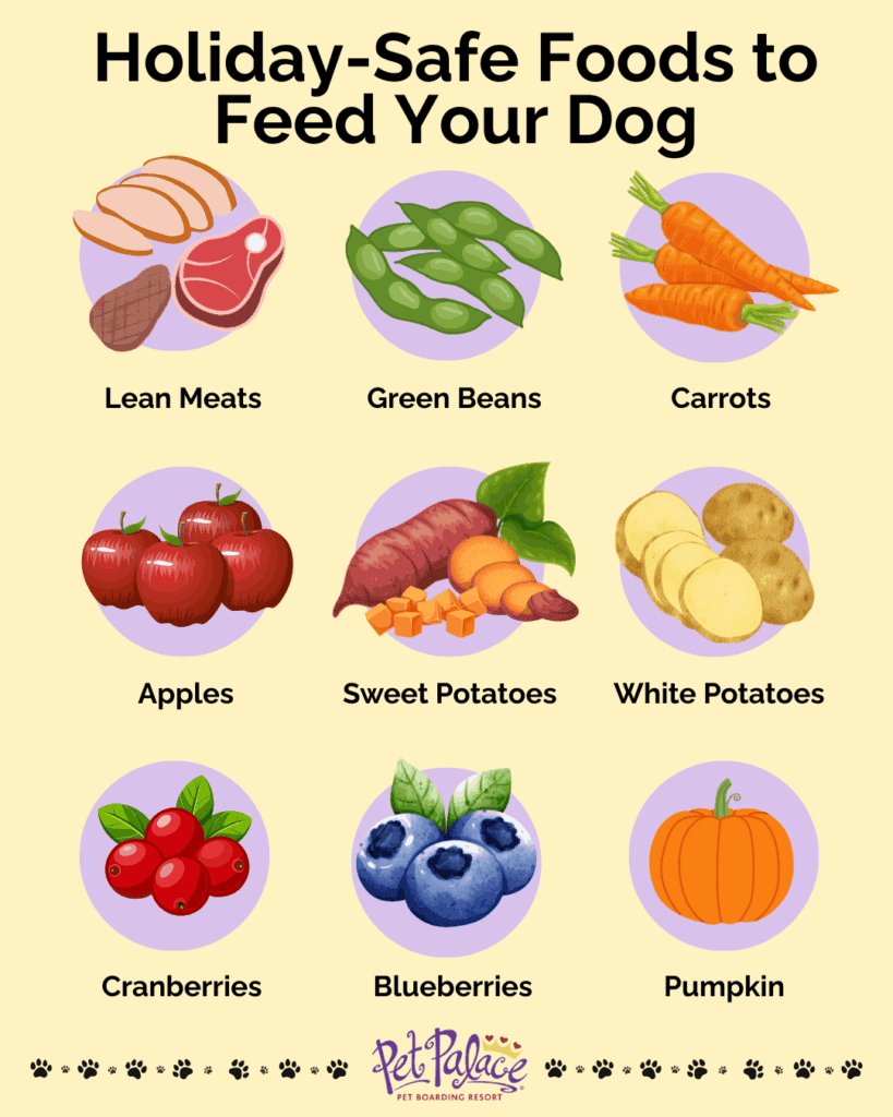 Safe Holiday Foods for Dogs