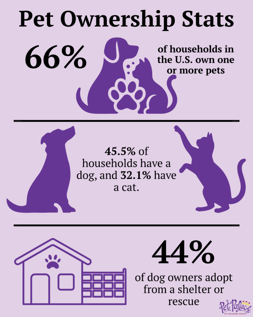 Pet Ownership Statistics