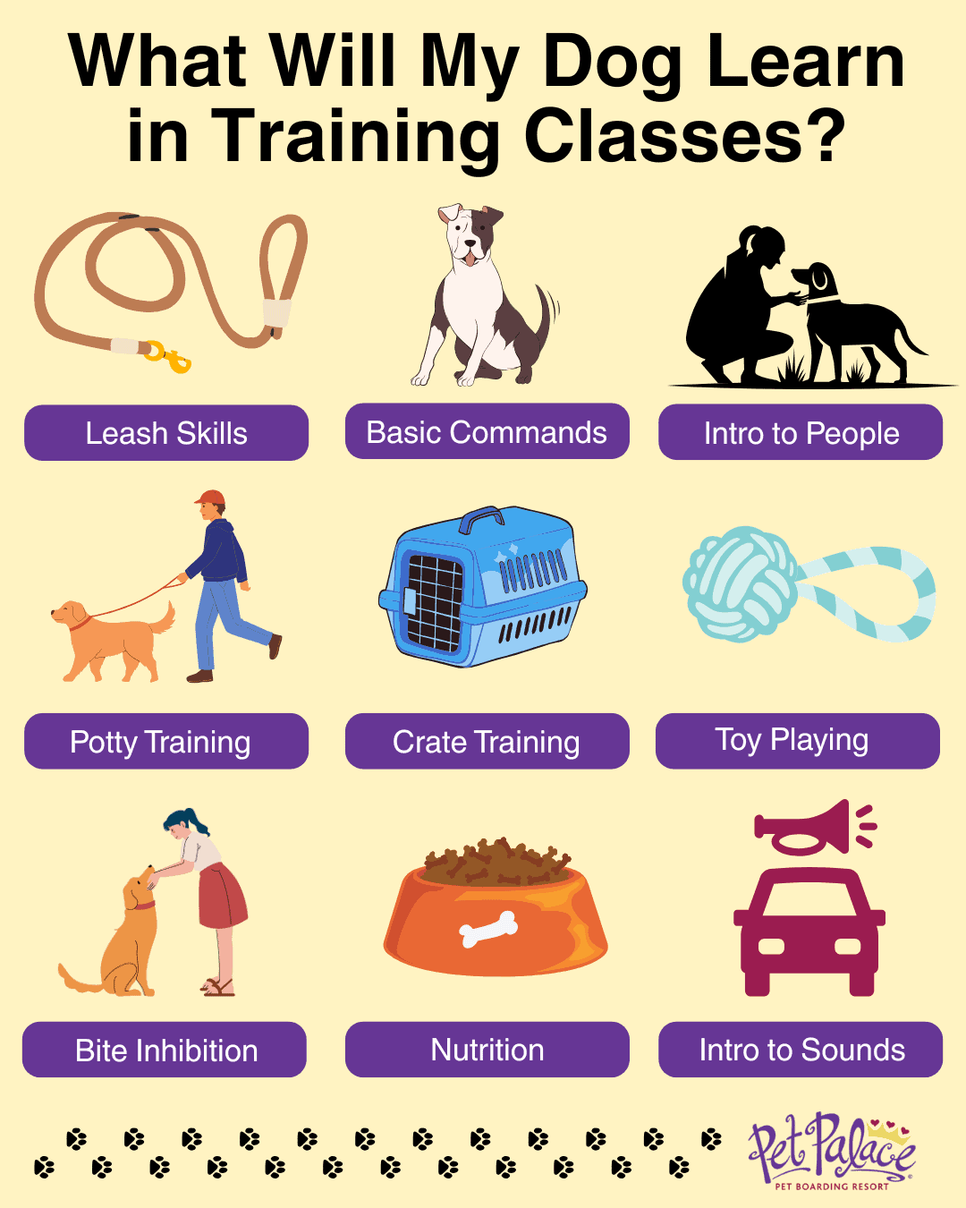 The Lessons Learned in Dog Training Classes